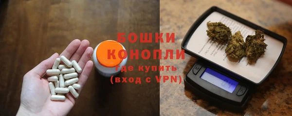 дмт Арсеньев